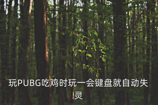 玩PUBG吃鸡时玩一会键盘就自动失灵