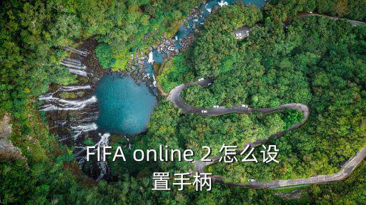 FIFA online 2 怎么设置手柄