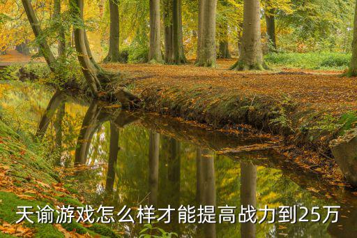 天谕游戏怎么样才能提高战力到25万