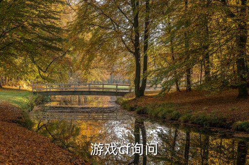 游戏cf询问
