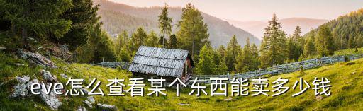 eve手游东西怎么卖，eve怎么查看某个东西能卖多少钱