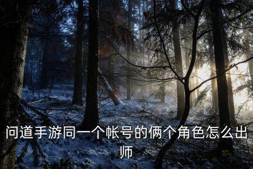 问道手游同一个帐号的俩个角色怎么出师