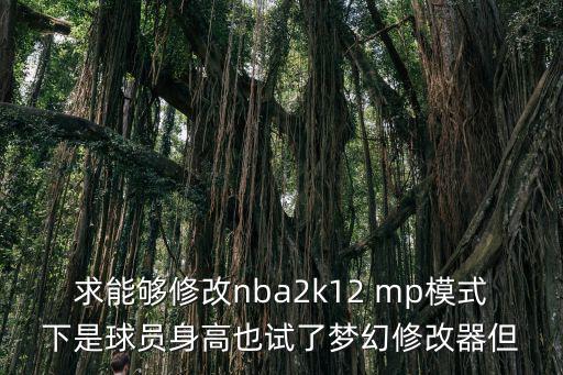 求能够修改nba2k12 mp模式下是球员身高也试了梦幻修改器但