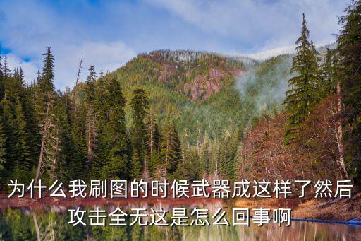 为什么我刷图的时候武器成这样了然后攻击全无这是怎么回事啊