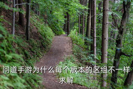 问道手游为什么每个版本的区组不一样求解