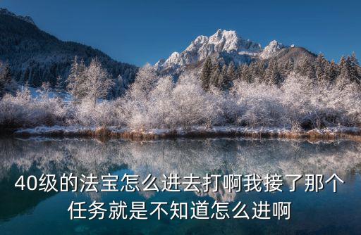 诛仙手游怎么上40级法宝，40级的法宝怎么进去打啊我接了那个任务就是不知道怎么进啊