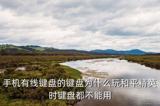 手机有线键盘的键盘为什么玩和平精英时键盘都不能用