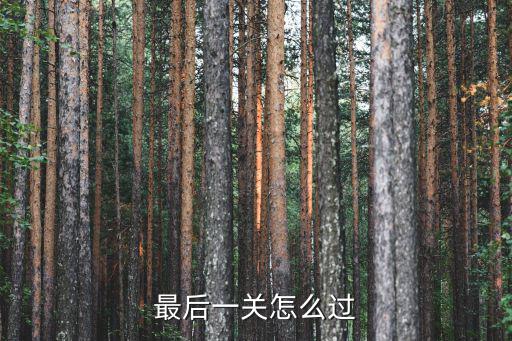 最后一关怎么过