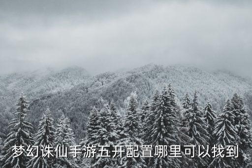 诛仙手游怎么开五个，梦幻诛仙手游五开配置哪里可以找到