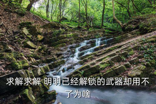 求解求解 明明已经解锁的武器却用不了为啥
