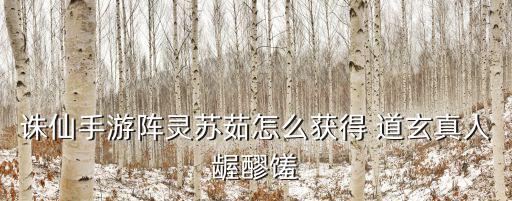 诛仙手游阵灵苏茹怎么获得 道玄真人龌醪馐