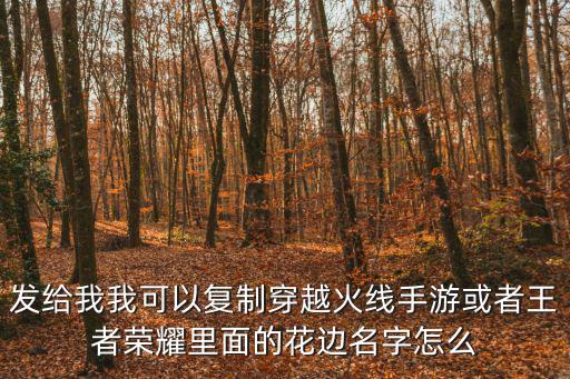 手游传奇至尊怎么复制名字，发给我我可以复制穿越火线手游或者王者荣耀里面的花边名字怎么