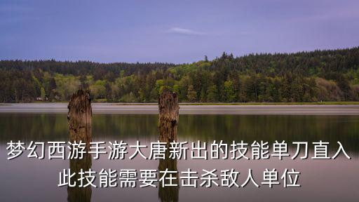 梦幻西游手游大唐新出的技能单刀直入此技能需要在击杀敌人单位