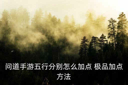 问道手游五行分别怎么加点 极品加点方法