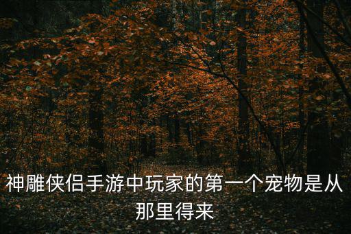 神雕侠侣手游中玩家的第一个宠物是从那里得来