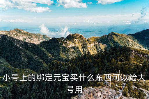小号上的绑定元宝买什么东西可以给大号用