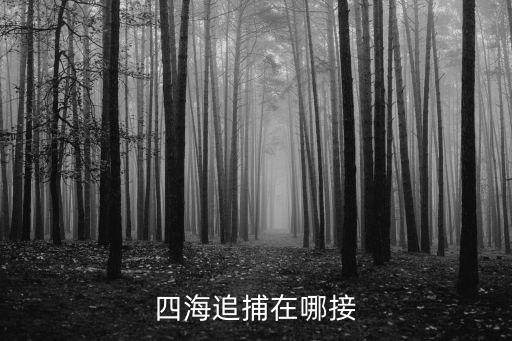 四海追捕在哪接
