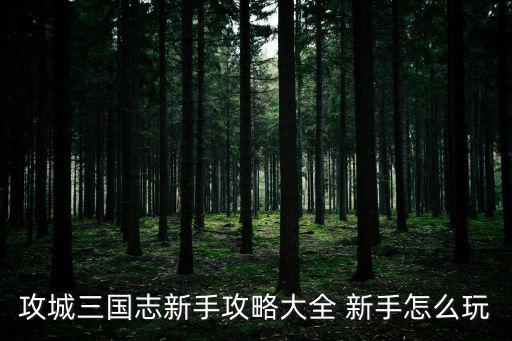攻城三国志新手攻略大全 新手怎么玩