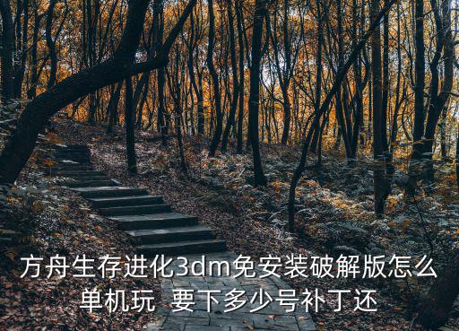 方舟生存进化3dm免安装破解版怎么单机玩  要下多少号补丁还