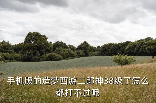 手机版的造梦西游二郎神38级了怎么都打不过呢