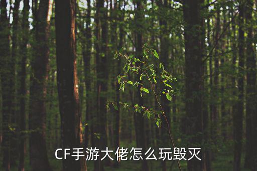 CF手游大佬怎么玩毁灭