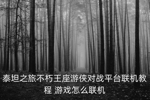 泰坦之旅不朽王座游侠对战平台联机教程 游戏怎么联机