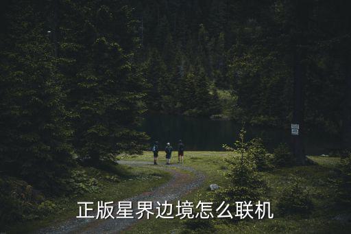 正版星界边境怎么联机