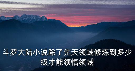 斗罗大陆小说除了先天领域修炼到多少级才能领悟领域