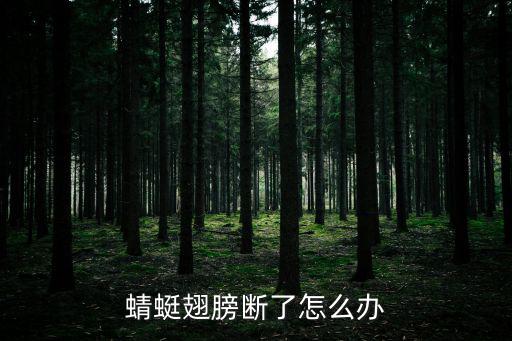 蜻蜓翅膀断了怎么办