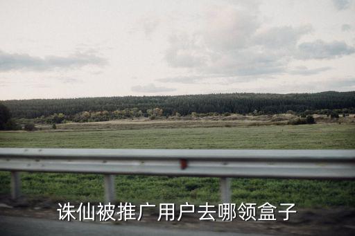 诛仙被推广用户去哪领盒子