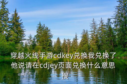 穿越火线手游cdkey兑换我兑换了他说请在cdjey页面兑换什么意思 搜