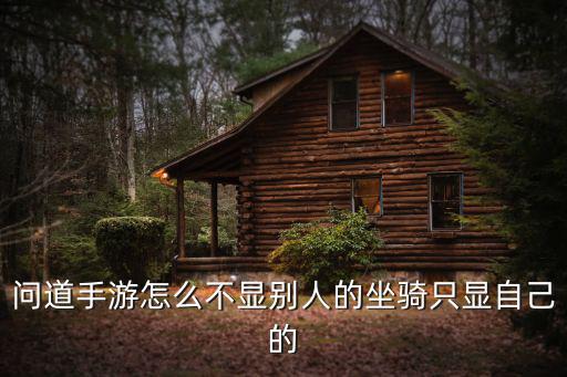 问道手游怎么不显别人的坐骑只显自己的