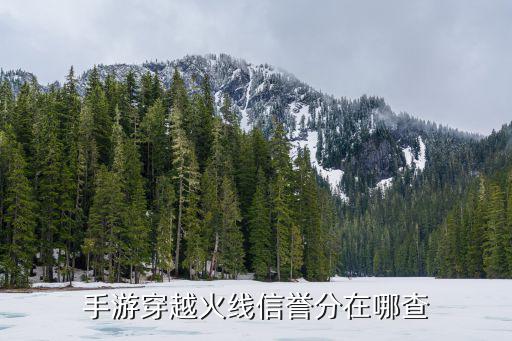 怎么看cf手游信用，cf手游中信信用卡怎么查看是否申请成功