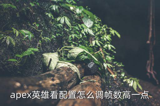 apex手游帧数怎么调高，新手如何调FPS值