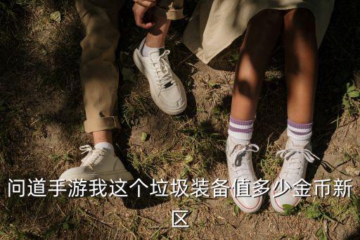 问道手游我这个垃圾装备值多少金币新区