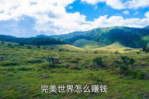 完美世界怎么赚钱