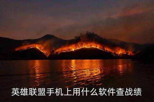 英雄联盟手机上用什么软件查战绩