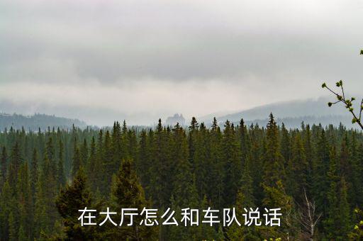 在大厅怎么和车队说话
