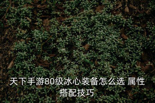 天下手游80级冰心装备怎么选 属性搭配技巧