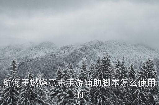 剑与远征手游辅助怎么用，楚留香手游一条龙辅助工具怎么使用的