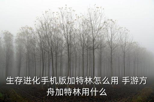 方舟手游自动炮塔怎么装填子弹，玩游戏不知道玩哪个大家来说下吧