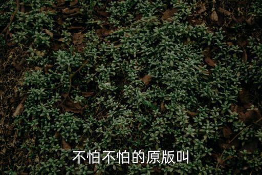 不怕不怕的原版叫