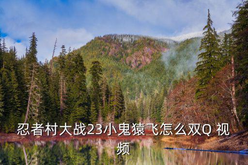 忍者村大战23小鬼猿飞怎么双Q 视频