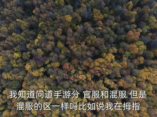 我知道问道手游分 官服和混服 但是混服的区一样吗比如说我在拇指