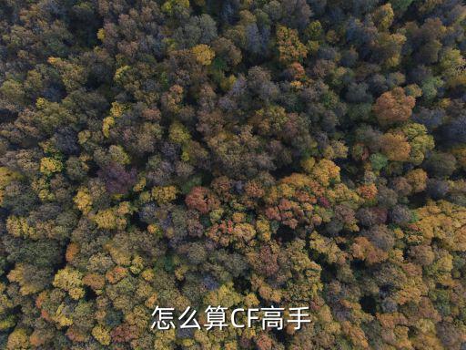 怎么算CF高手