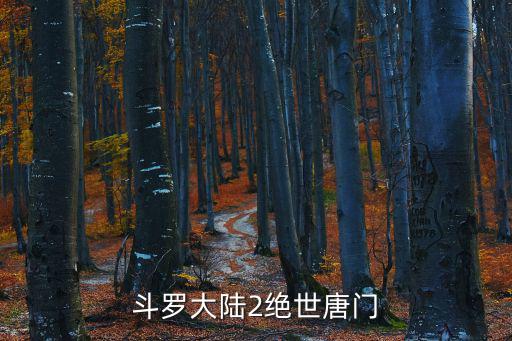 斗罗大陆2绝世唐门