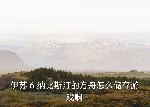 伊苏 6 纳比斯汀的方舟怎么储存游戏啊