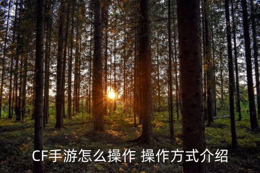 手游CF雾萌萌日记怎么用，穿越火线手游