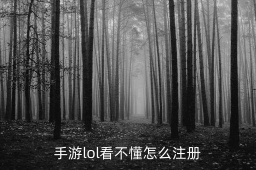 手游lol看不懂怎么注册