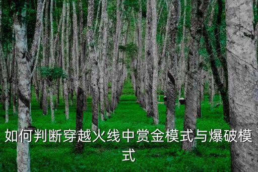 如何判断穿越火线中赏金模式与爆破模式